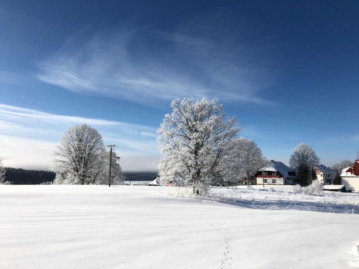 Hotel Fontána Lipno Černá v Pošumaví Exterior foto